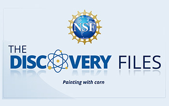 discovery files banner logo