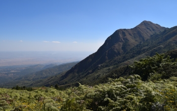 The East African Rift Valley, where the scientists conducted their field research.