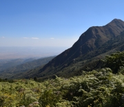 The East African Rift Valley, where the scientists conducted their field research.