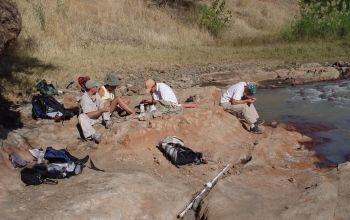 Paleontologists at work in Tanzania on research that led to the find of the new carnivore species.