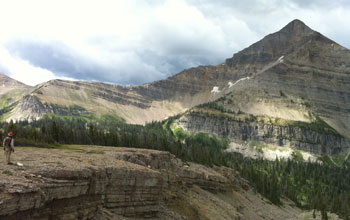a succession of sedimentary rocks exposed in Montana.