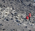 Penguin researchers at Cape Royds