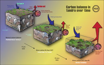 carbon permafrost tundra arctic soil global thawing melting warming release methane warmer sink thaw over balance change climate earth science