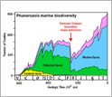 Graph of Phanerozoic marine biodiversity plotting number of families versus geolgoic time.