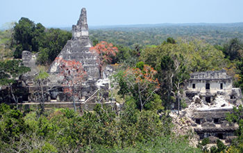 Temple in the ancient Maya city of Tikal was built between 768 and 780 A.D.