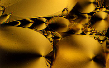 Polarizing microscope texture of a smectic A liquid crystal