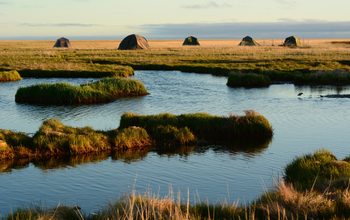 The Tutakoke River field camp on sub-Arctic tundra