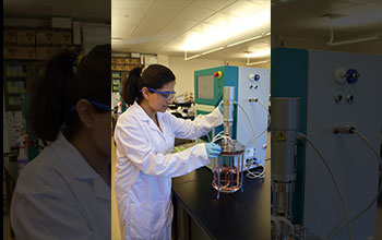 A biomanufacturing student scales up Chinese hamster ovary cells using a process-controlled bioreactor