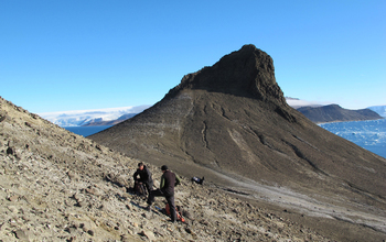 Searching for dinosaur fossils