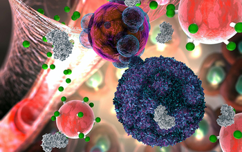 A T cell (in violet) makes contact with a transplant organ cell (in brown and purple)