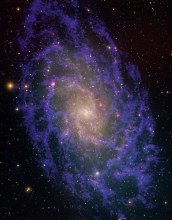 A radio-optical composite of M33.