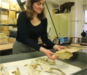 Photo of researcher examining fossils in a lab