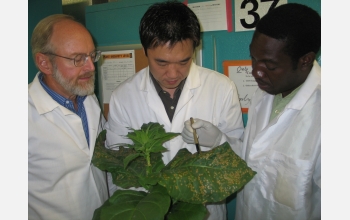 Researchers with plant that they studied.