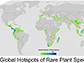 global hotspots of rare plant species