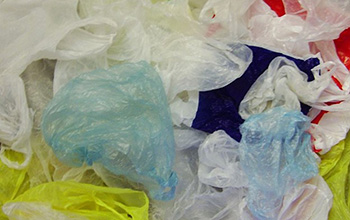 Water and sunlight convert single-use plastic bags into dissolved compounds, scientists discovered.