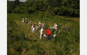 Scientists collect samples from the pond array.