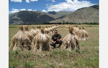 Photo of David Ortega in a wheat field outside of Lhasa, Tibet, China.