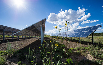 solar panels