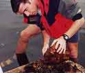 Jonathan Wilker collecting zebra mussels