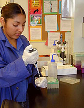Marlyn Jacobo uses a pipette