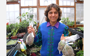 Photo of Nalini Nadkarni of Evergreen State College at Cedar Creek.