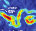 Map showing the Kuroshio Current off Japan in June 2011 as measured by sea level anomalies.