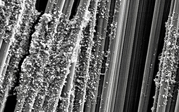 electron micrograph of cellular nanocrystals