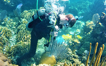 researcher Justin Baumann drills a coral core