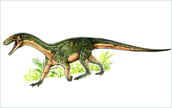 An artist's rendering of <em>T. rhadinus</em> in its ancient habitat.