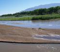 Interactions between humans and riparian forests in the southwestern U.S. are a CNH study subject.