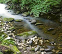 Photo of harmless titanium dioxide tracer which is added to streams and rivers to track carbon flow.