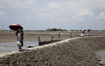 A new global database documents 40 years of change in Earth's rivers.