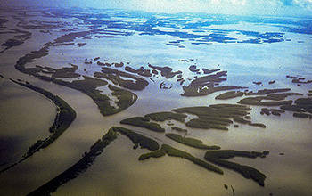 Land building in a rapidly subsiding area near the mouth of the Mississippi River.