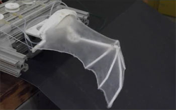 robotic bat arm