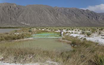 The Lagunitas pond