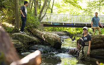 researchers are at Longfellow Creek, an urban creek in the Seattle area