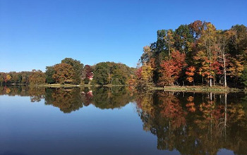 The Occoquan Reservoir