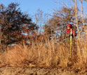 Jennifer Irish measures Hurricane Sandy flood mark along Barnegat Bay, N.J.