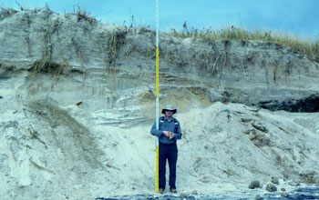 Scientist with measuring stick checks vertical erosion at the Cupsogue Beach, N.Y.