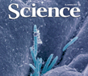 Cover of the Jan. 21, 2011 issue of the journal Science.