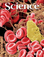 Cover of the February 10, 2012 issue of the journal Science.