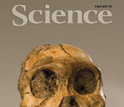 Cover of the April 9, 2010 issue of the journal Science.