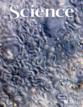 Cover of the July 1, 2011 issue of the journal Science.