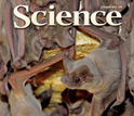 Cover of the August 6, 2010 issue of the journal Science.