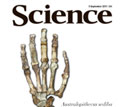 Cover of the September 9, 2011 issue of the journal Science.