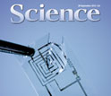 Cover of the September 28, 2012 cover of the journal Science.