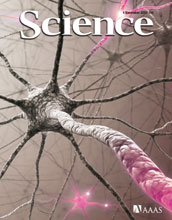 Cover of the November 4, 2011 issue of the journal Science.