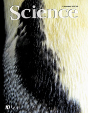 November 12, 2010 cover of Science magazine.