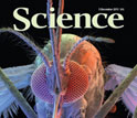 Cover of the December 9, 2011 issue of the journal Science.
