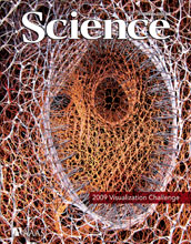 Cover of the Feb. 19 issue of the journal Science featuring Visualization Challenge winners.